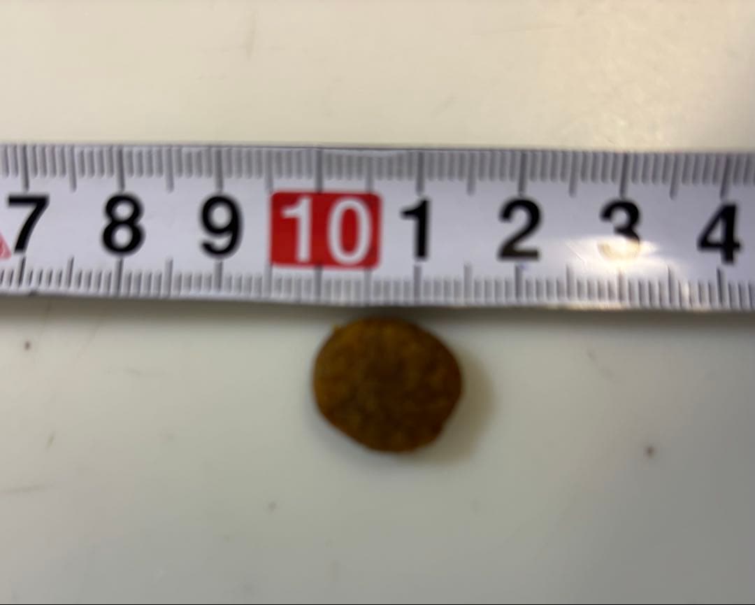 ACANA プレイリーポートリーレシピ 9,7kg