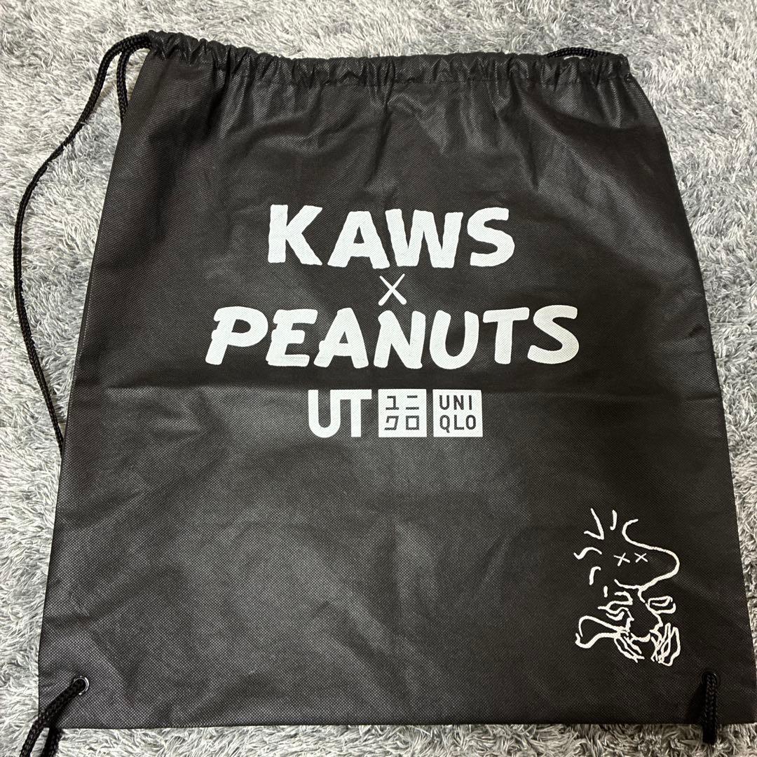 KAWS×PEANUTS スヌーピーぬいぐるみ Mサイズ 2体セット