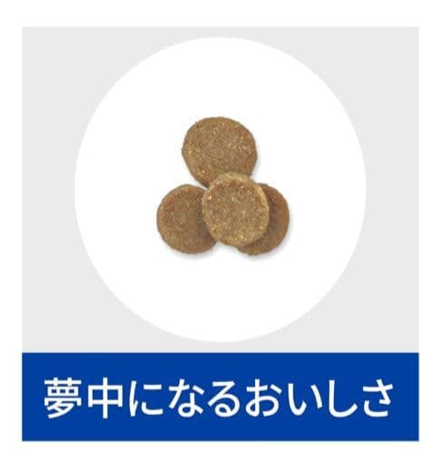 ヒルズ【消化ケア】キャットフード ドライ・小粒・チキン２kg ×２個