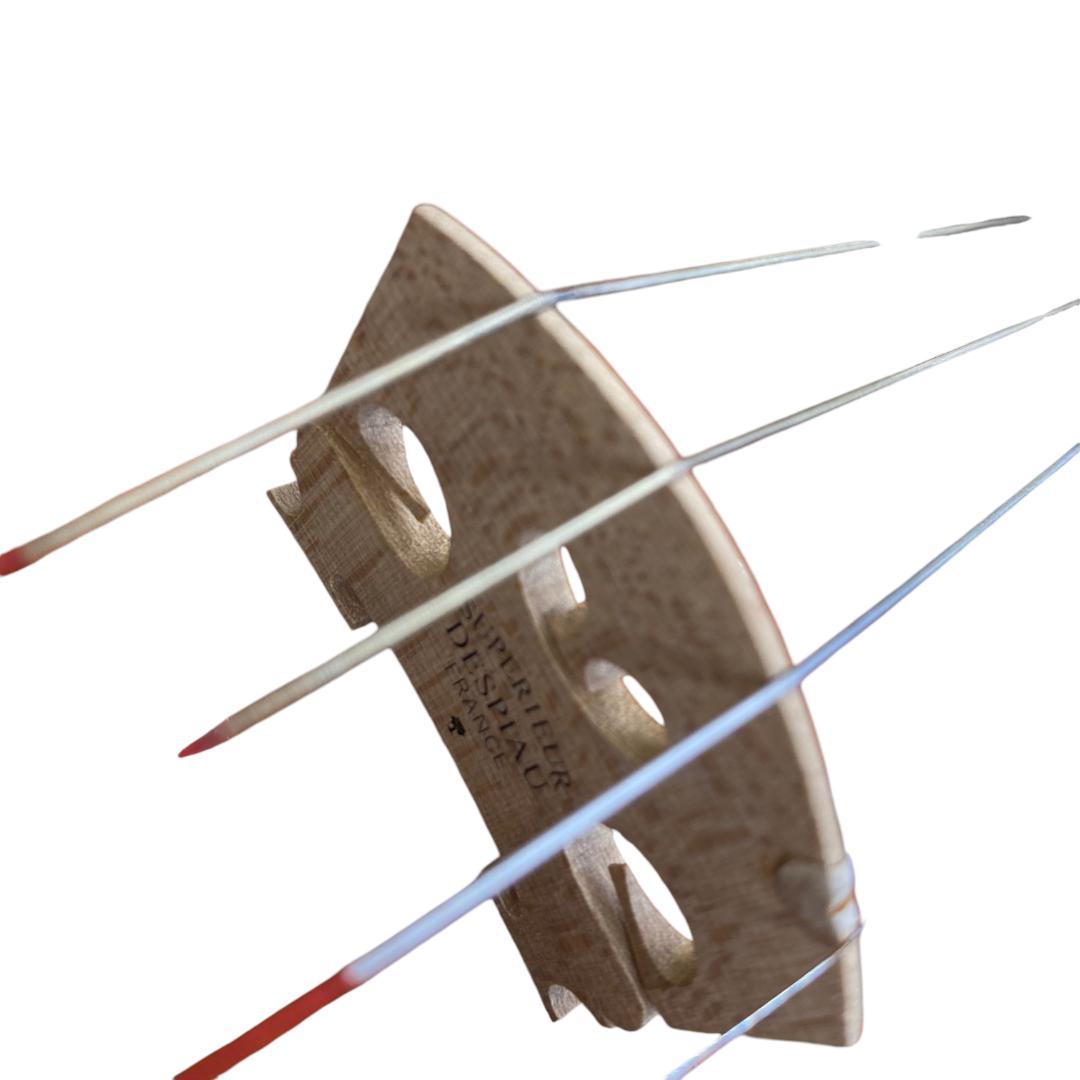 yr60 Andreas Eastman VL80 4/4 2009 バイオリン