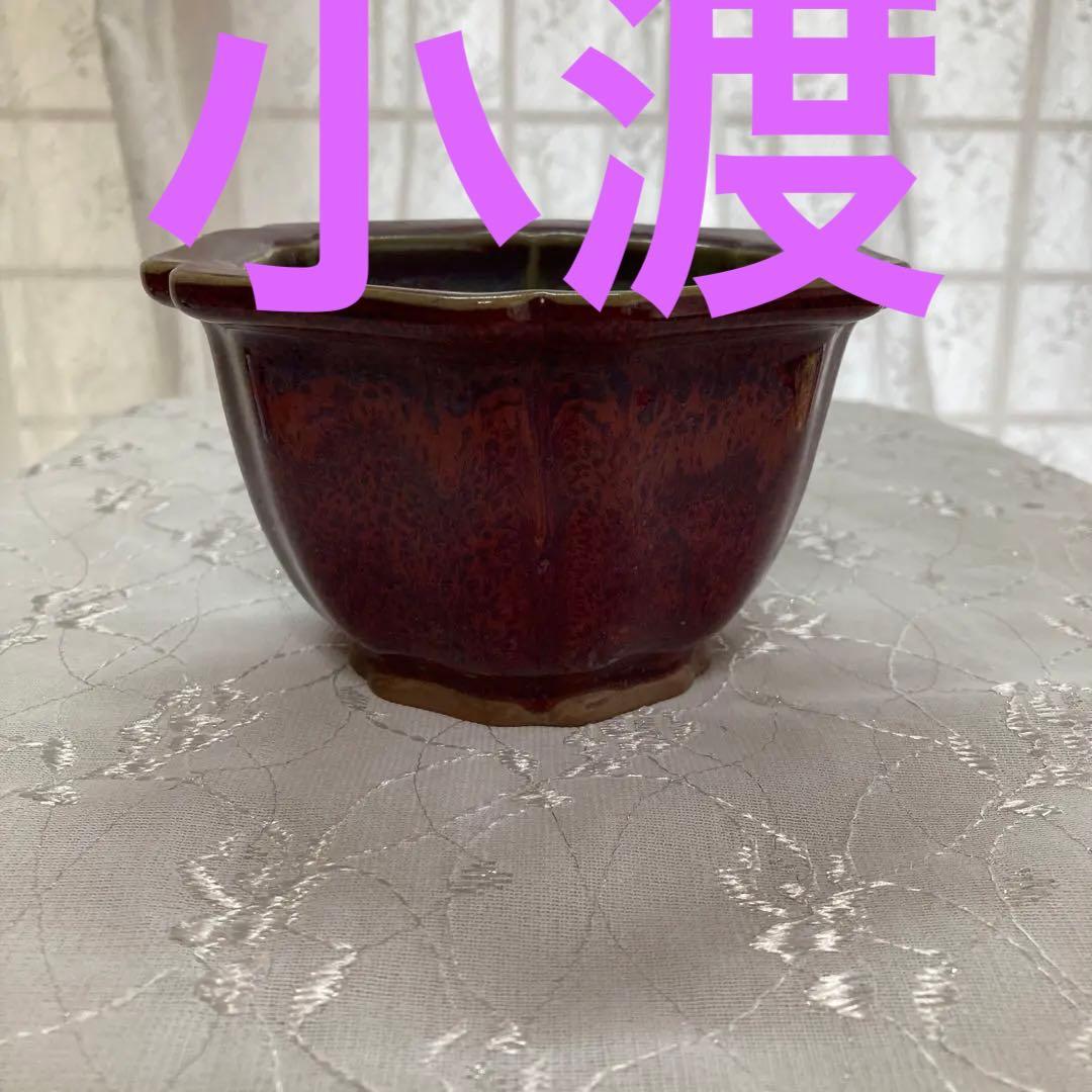 小渡鉢受け皿付き