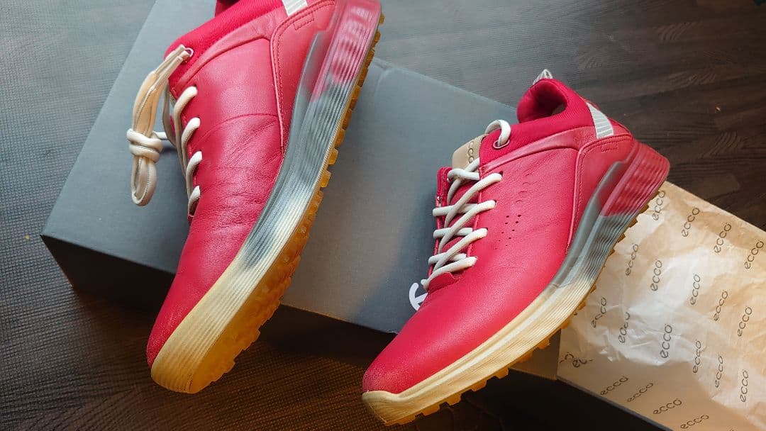 エコーeccoゴルフシューズ　23.5㎝