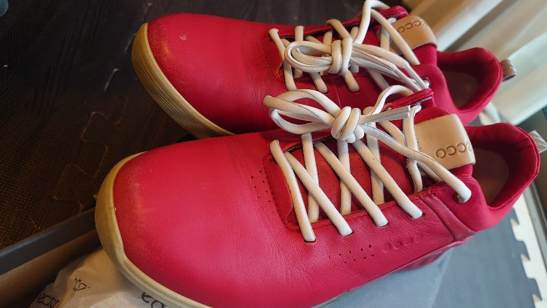 エコーeccoゴルフシューズ　23.5㎝