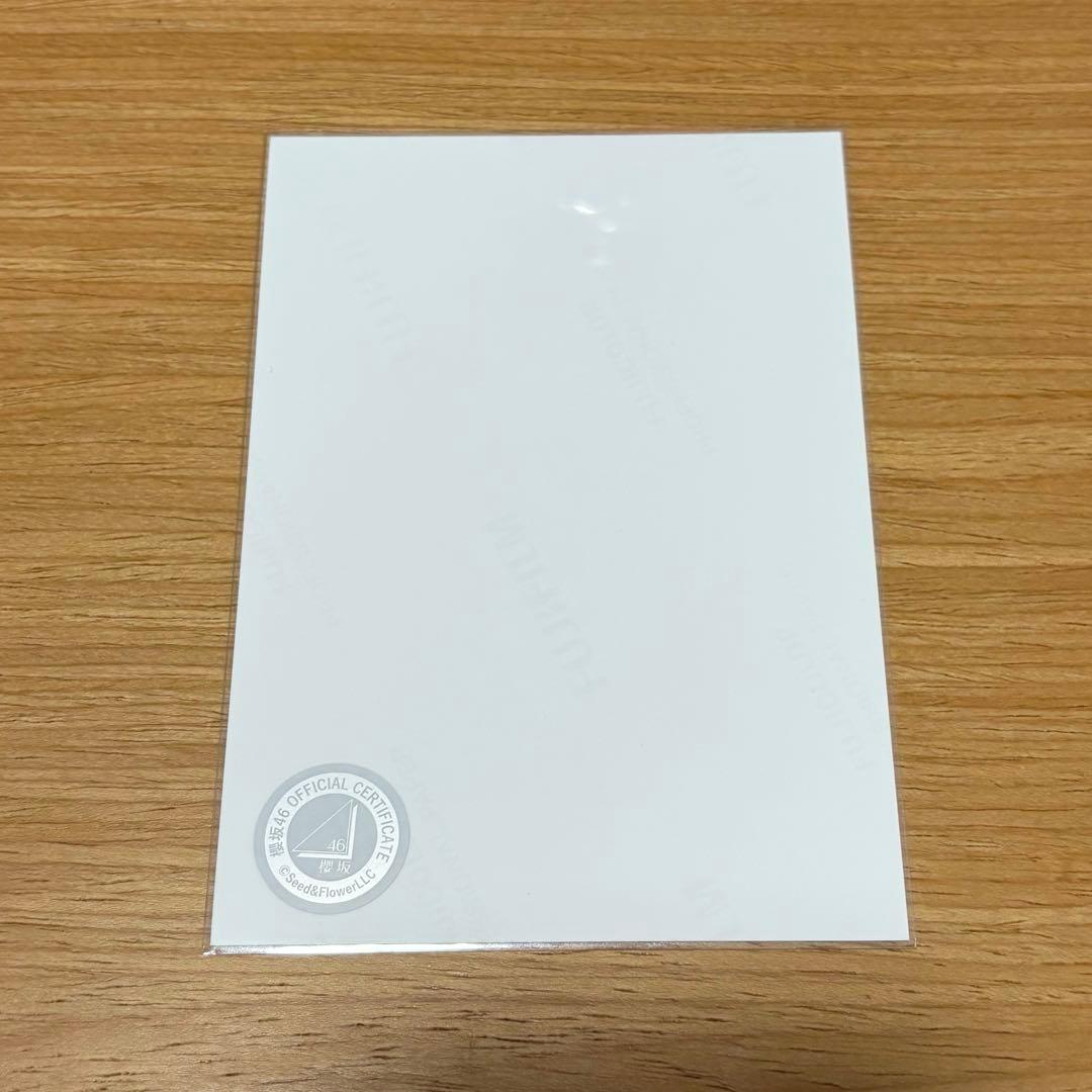 櫻坂46 山﨑天　3rdアニラ衣装　直筆サイン　生写真