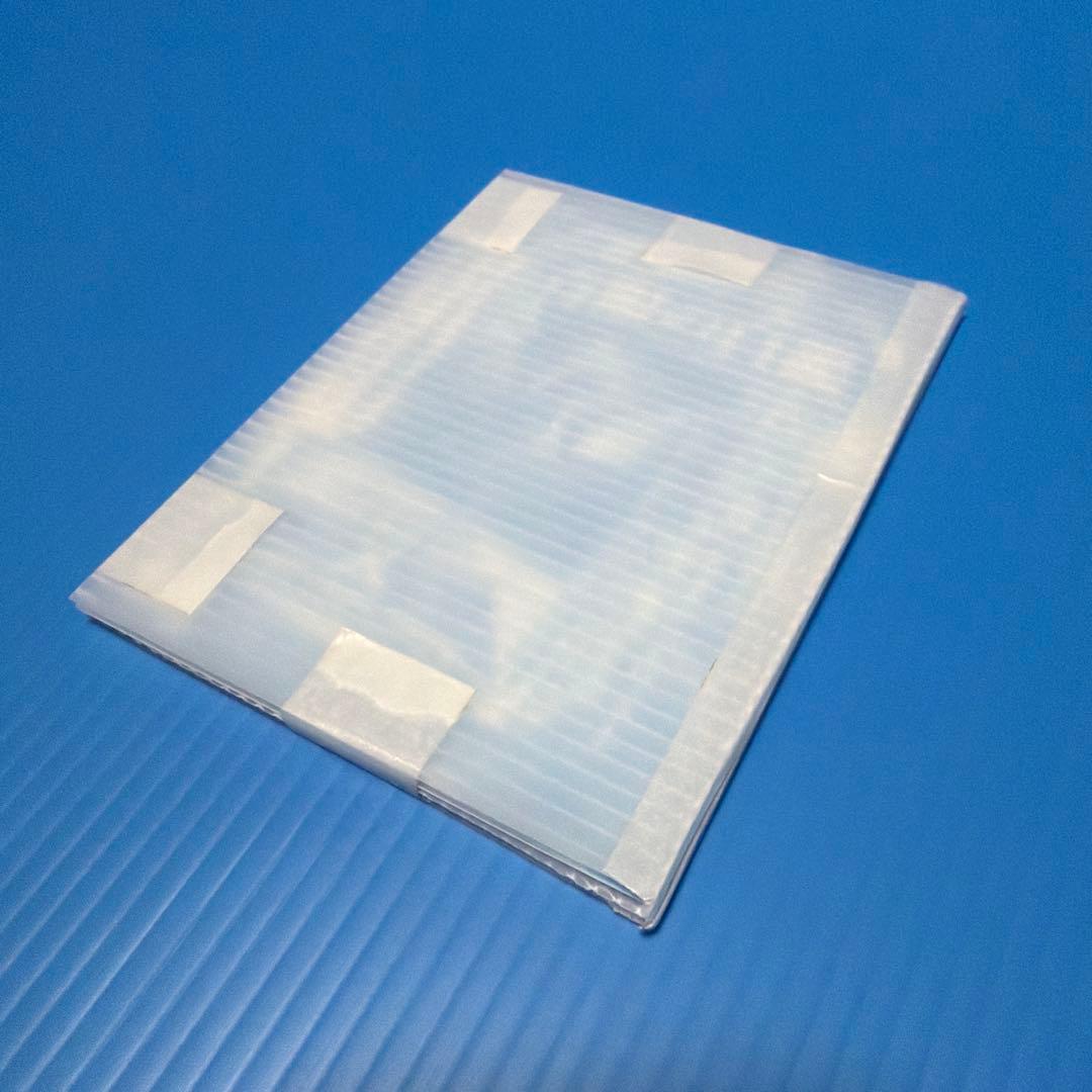 Vジャンプ　ブルーアイズ ホワイト ドラゴン 2枚セット