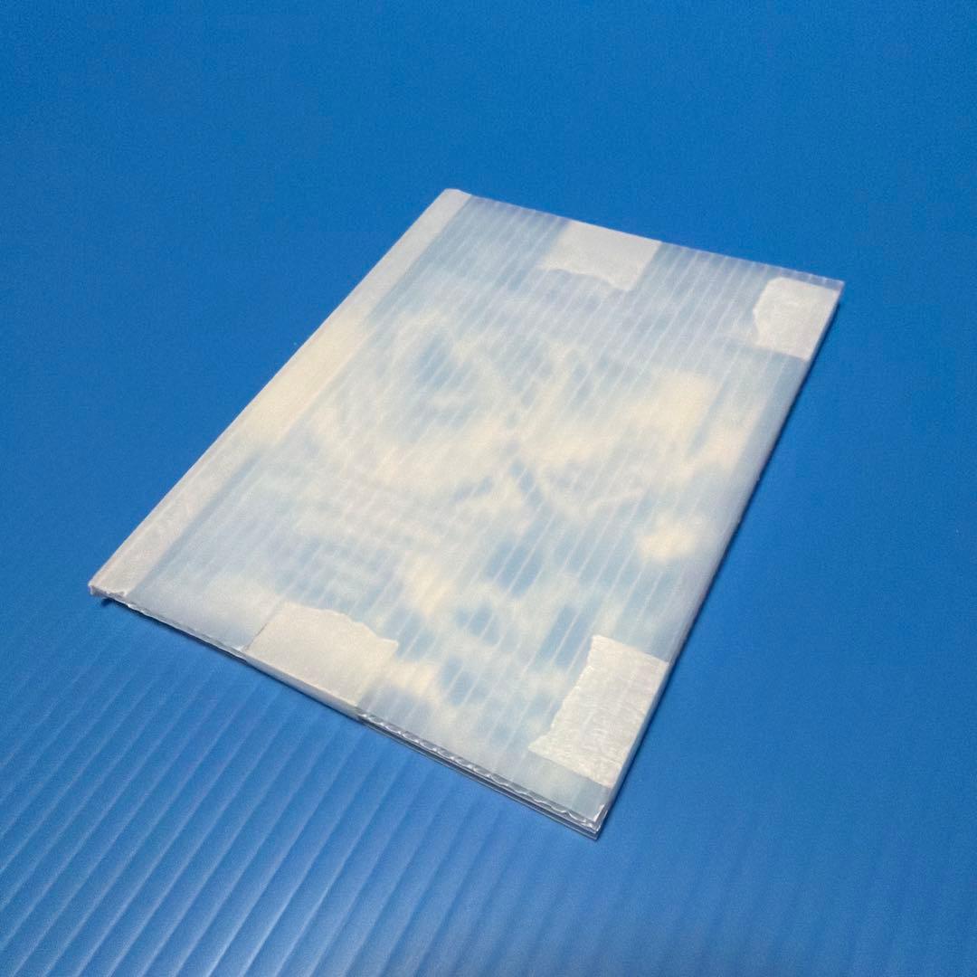 Vジャンプ　ブルーアイズ ホワイト ドラゴン 2枚セット