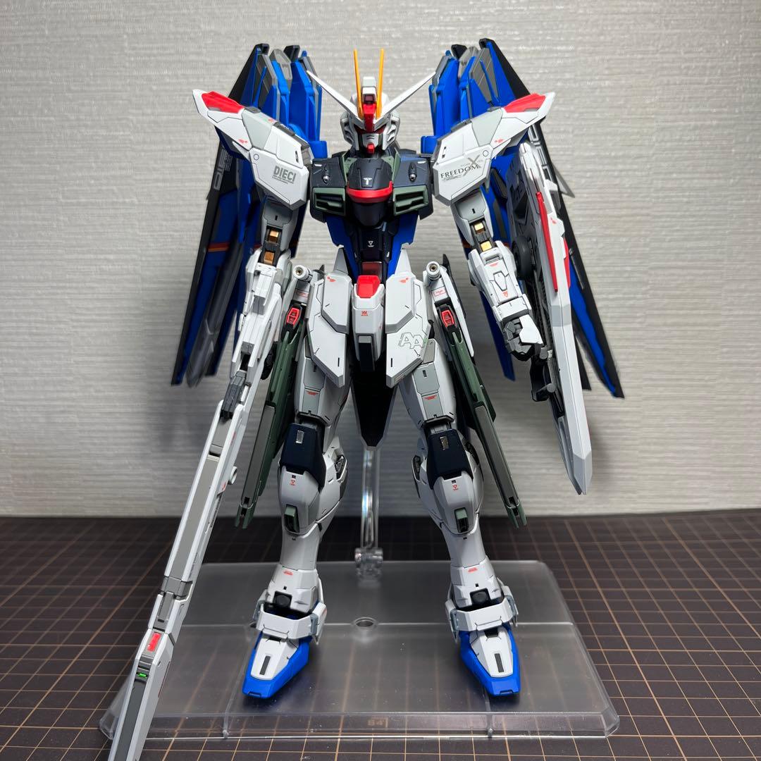 フリーダムガンダム MG