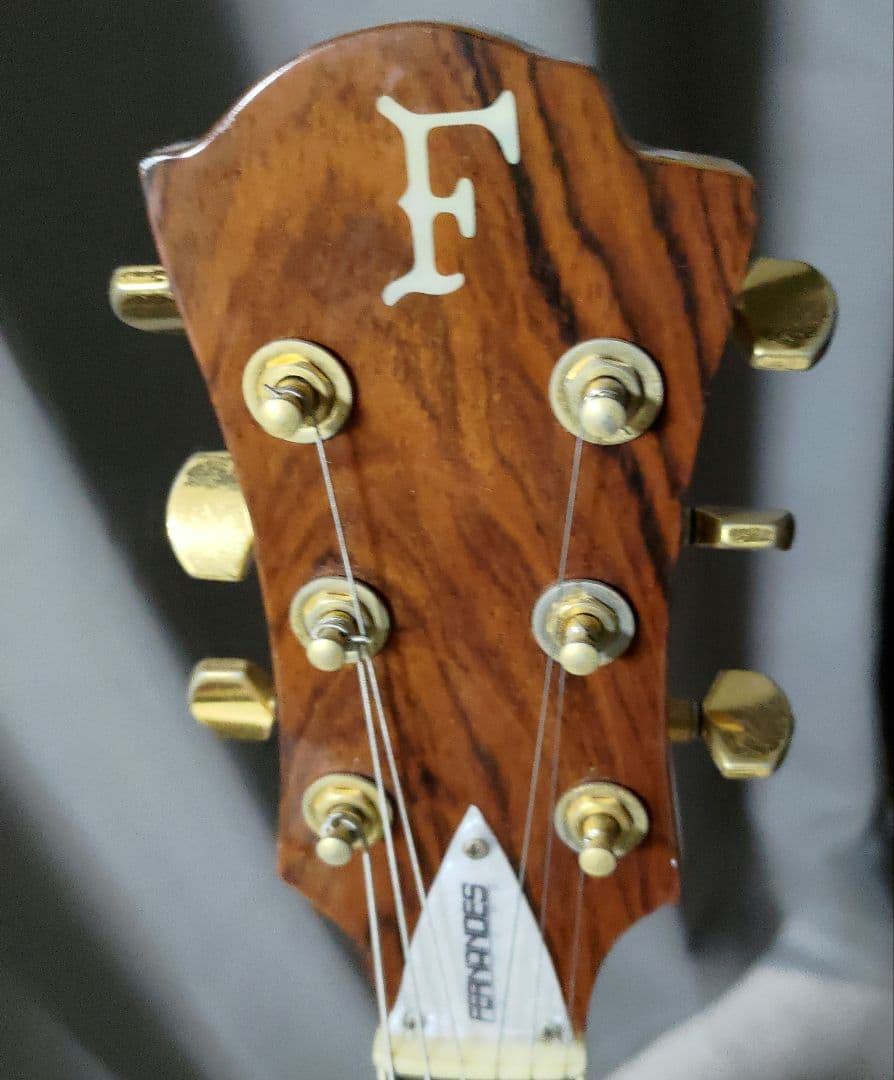 MG-80X EMG81付き　hideモデルモッキンバード