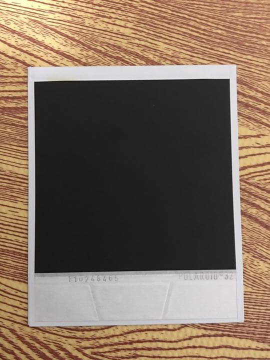 希少 入手困難 懸賞当選品 エリオット ヤミン 直筆サイン入り ポラロイド