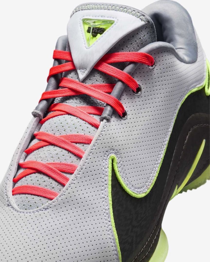 新品未使用　海外限定　ナイキ レブロン 22 EP