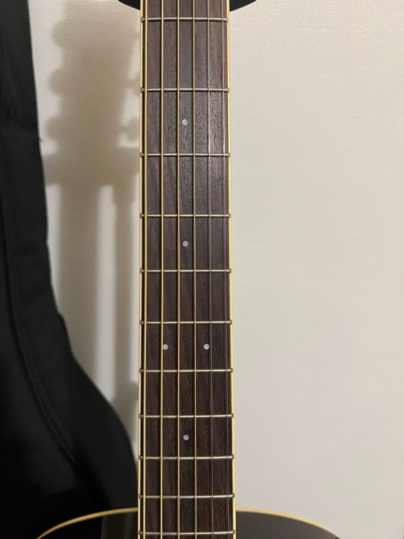 【限定値下げ】YAMAHA LL6 ARE