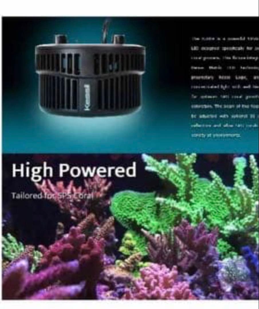 ライト・照明器具 Kessil A500X Tuna Blue LED