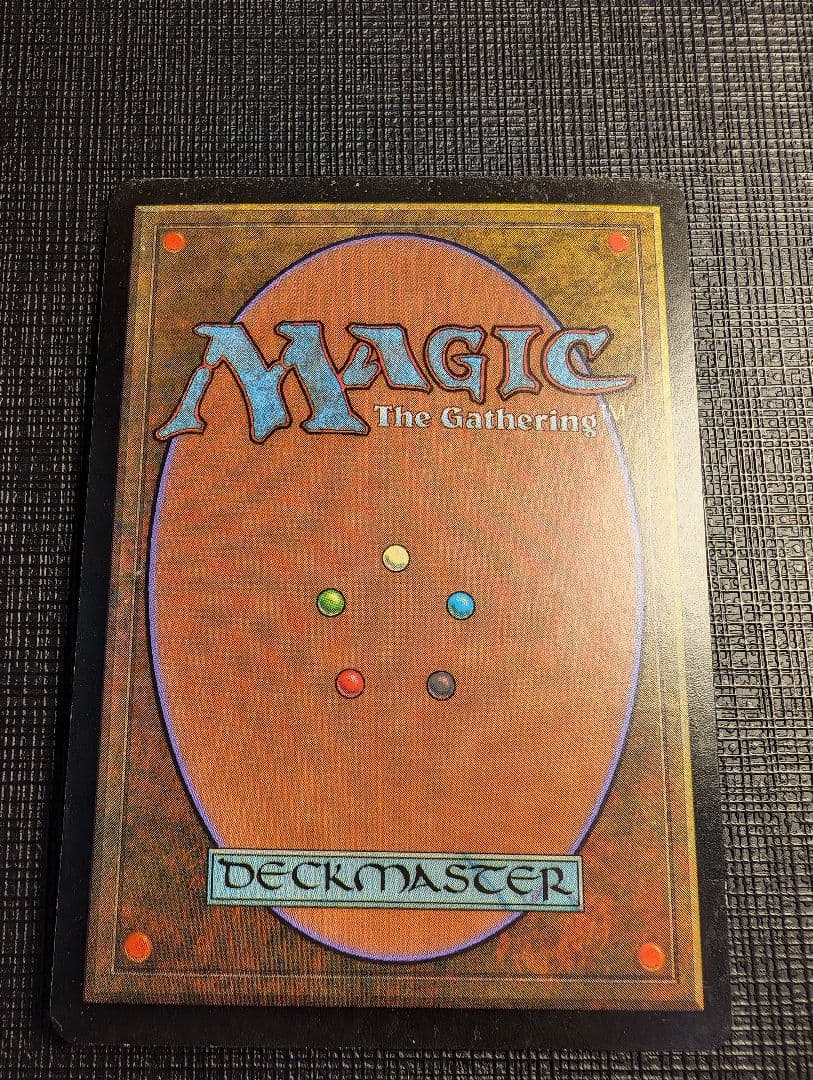 MTG　果敢な勇士リン・シヴィー　英語版FOIL　サインド　NEM