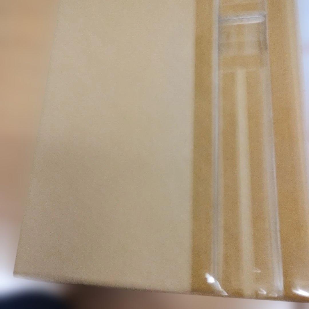 ハシヅメユウヤ　キャンバスジクレー　正規品