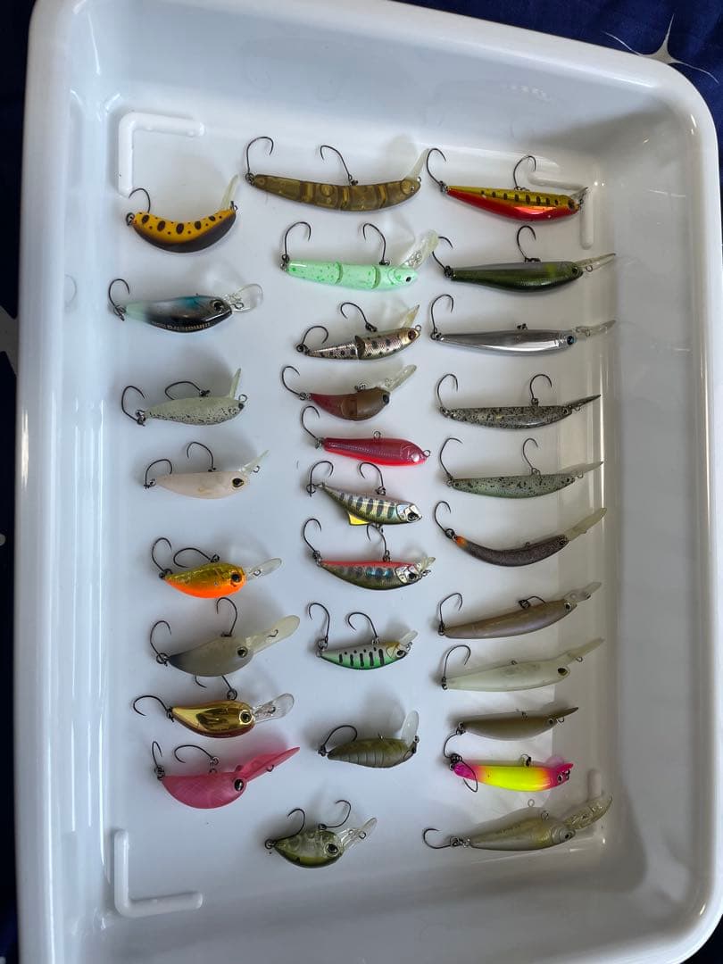 管釣用　ケースとルアーセット