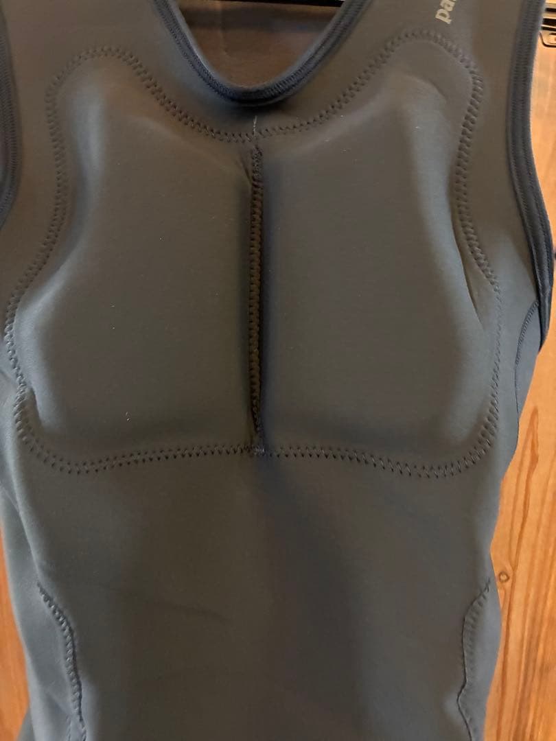 Patagonia インパクトベスト