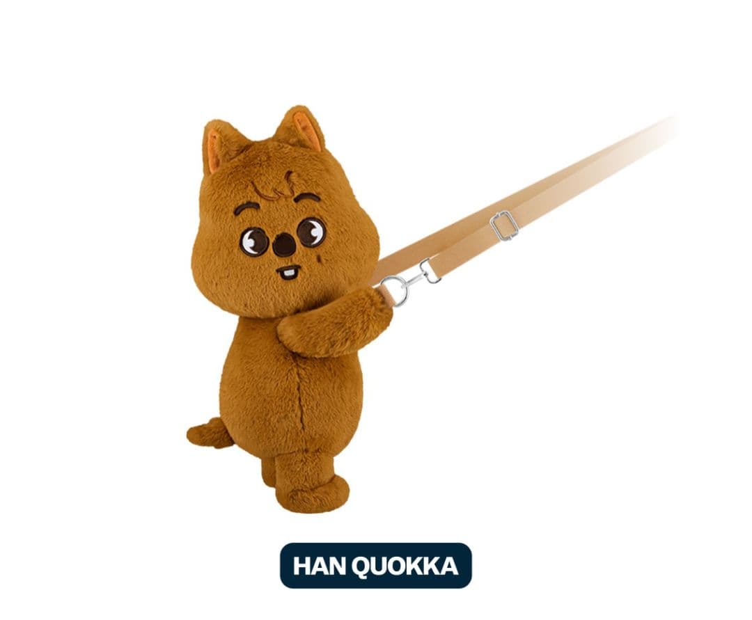 StrayKids　skzoo PLUSH BAG