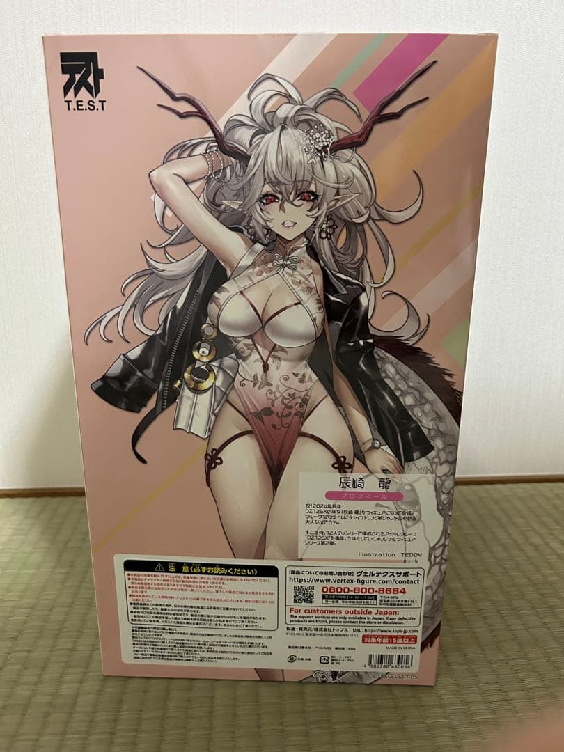 DZ12SX 辰崎龍　1/6スケール　フィギュア　[T.E.S.T]