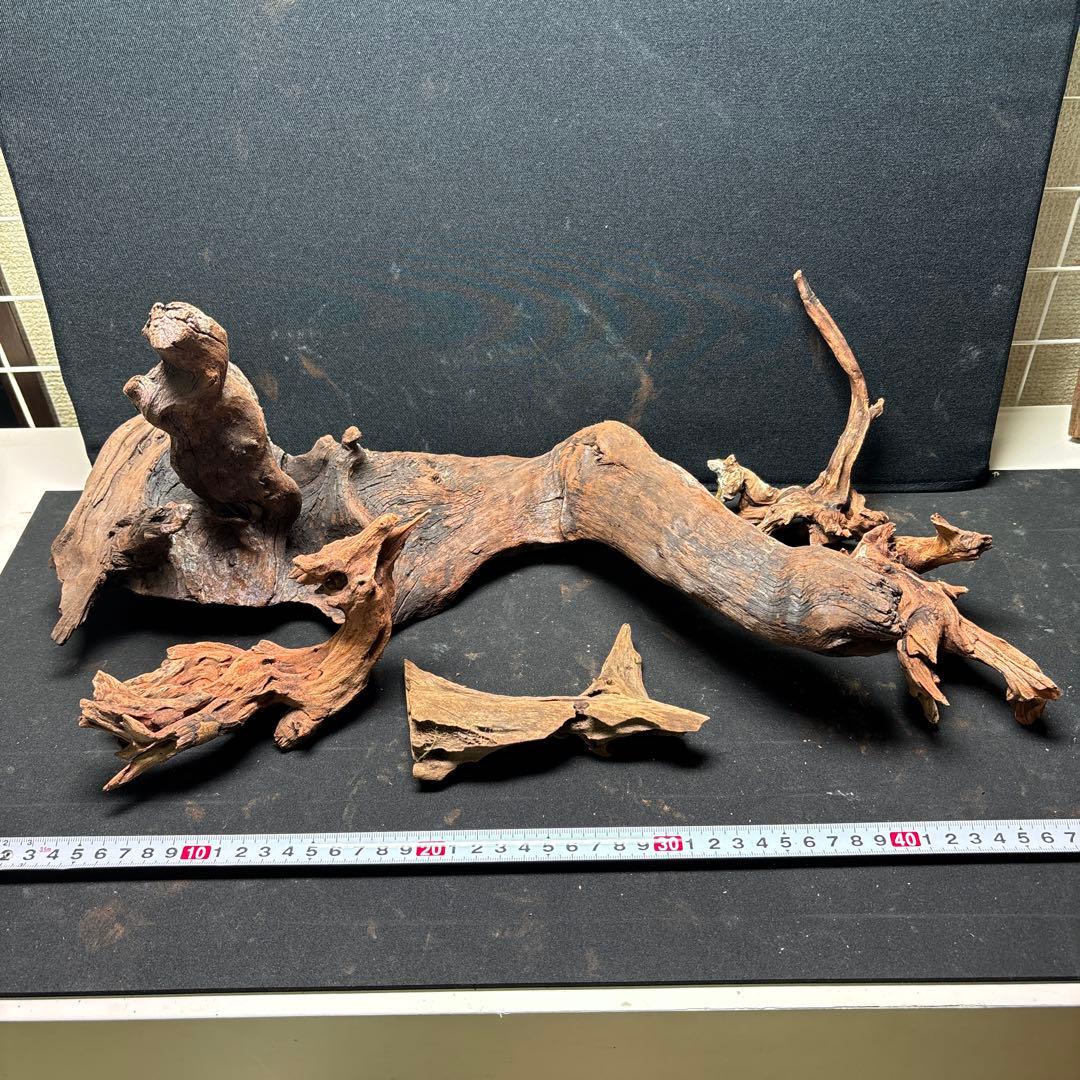 ADAホーンウッド計14個