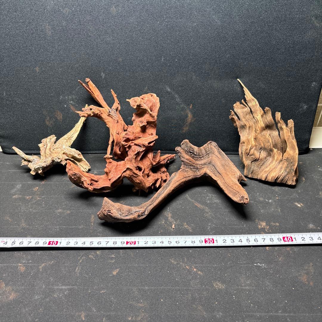 ADAホーンウッド計14個