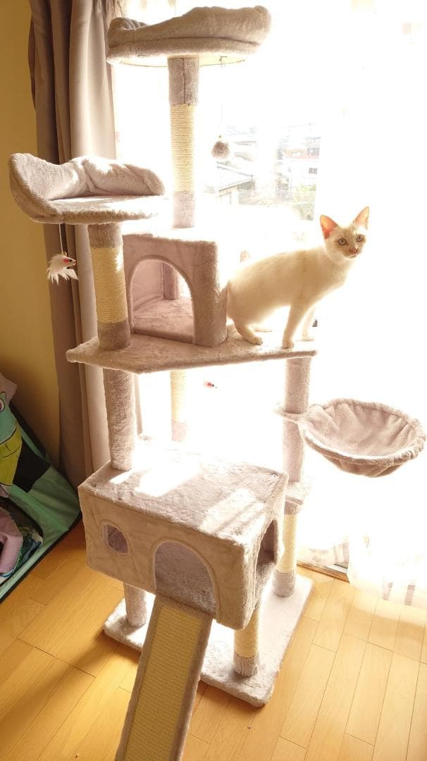 AIFY省スペース キャットタワー スリム 安定強化構造 大型猫用 多頭飼い p
