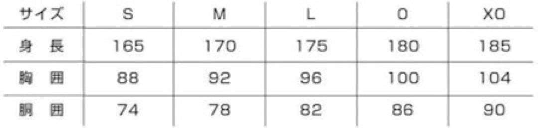 ファジアーノ岡山　2025アップウェア（長袖）