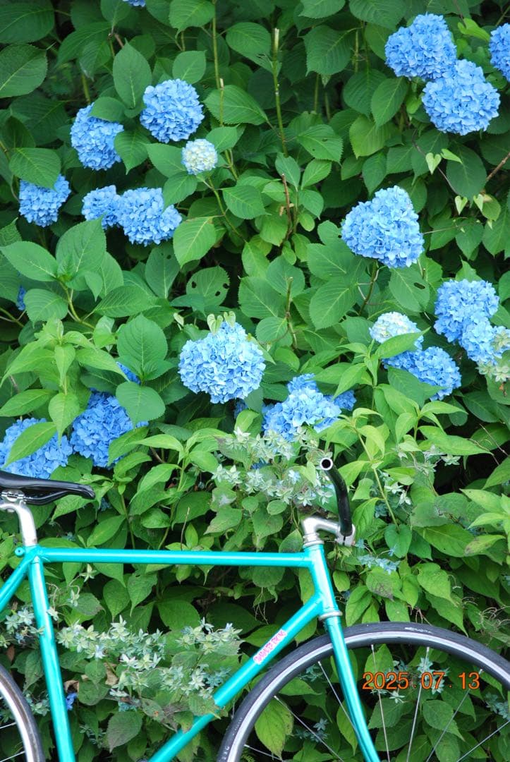 FUJI racerピストバイク　フレームセット