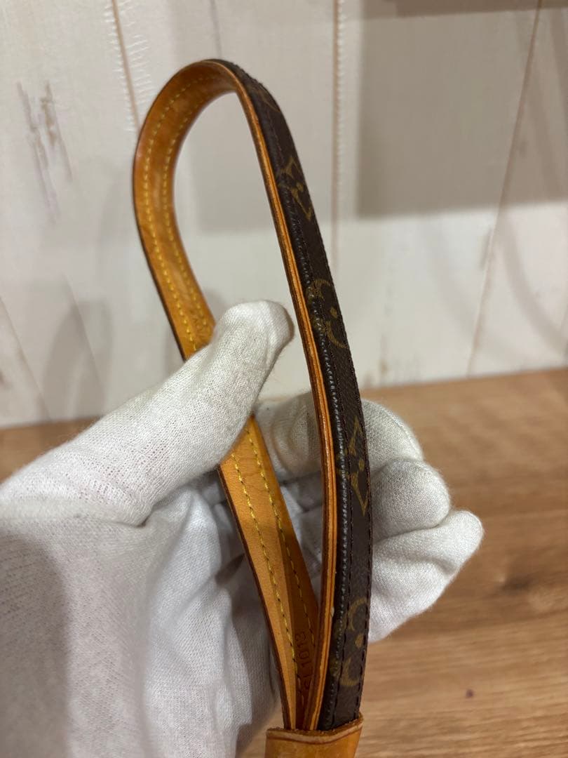 LOUIS VUITTON コリエバクスター レッスバクスター セット 首輪