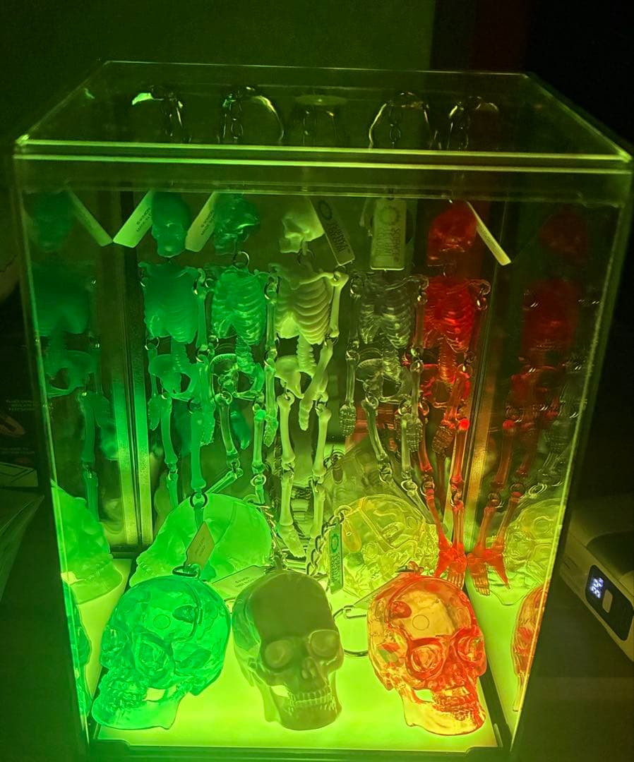 サイエンステクニカラー スケルトン　スケルトンカラー［全10種（フルコンプ)]