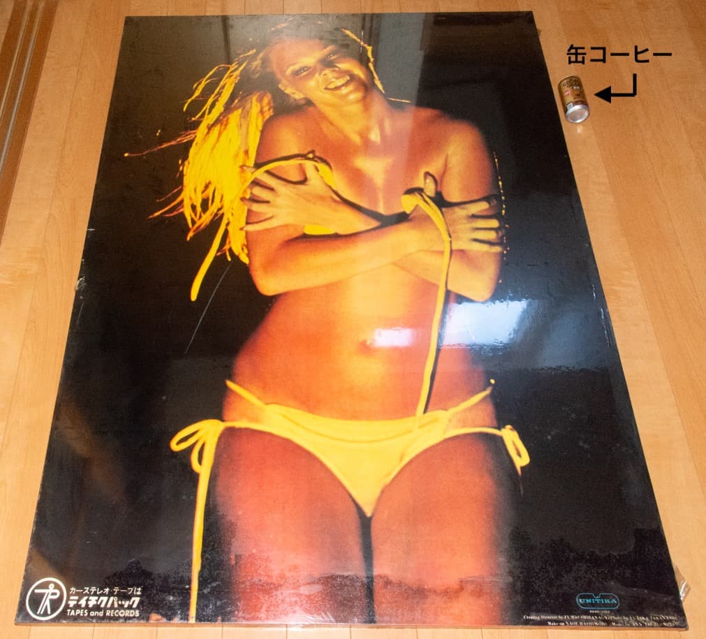 超特大 ユニチカ テイチクパック 水着 パネル 1970年代 高梨豊
