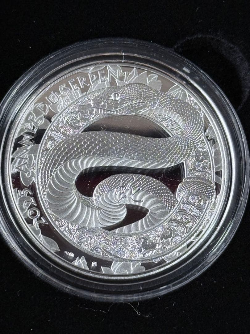 各国 2025年 巳年蛇図 銀貨5種セット プルーフ