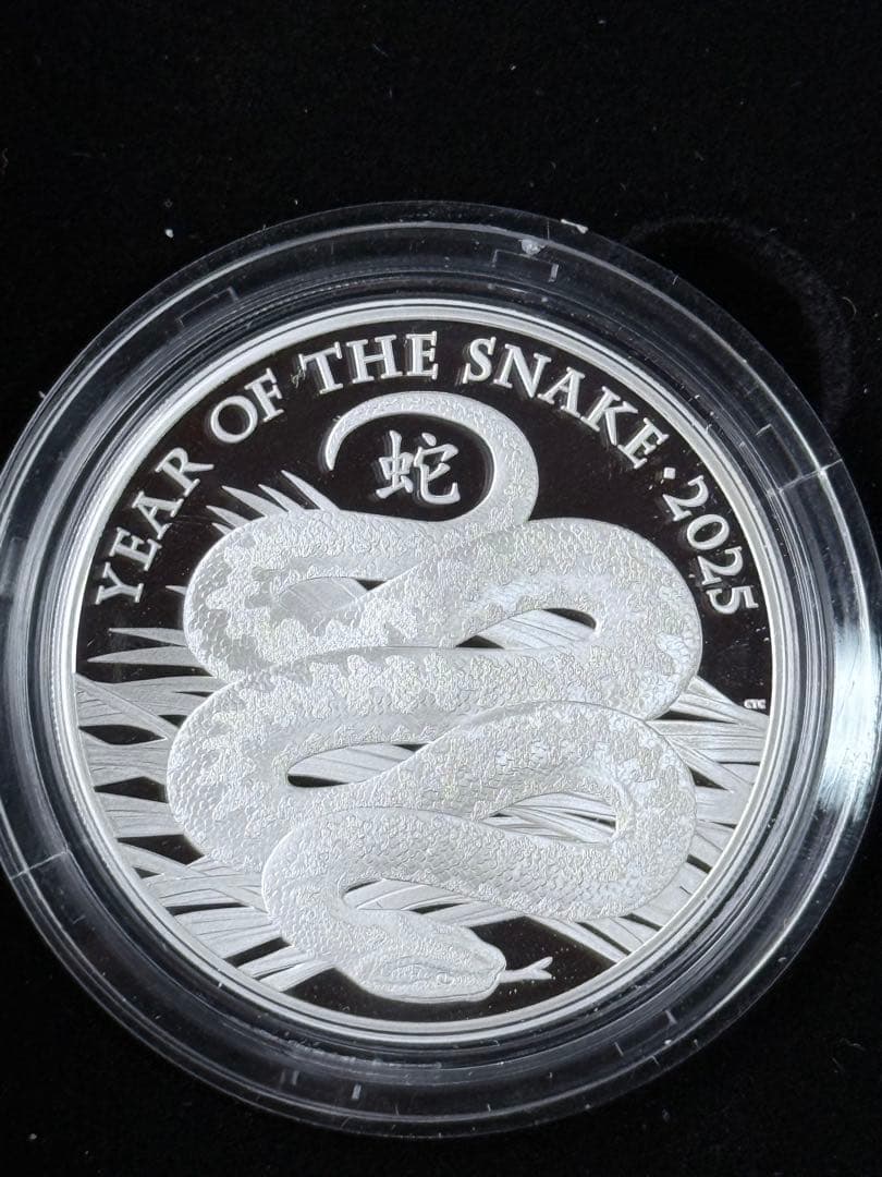 各国 2025年 巳年蛇図 銀貨5種セット プルーフ