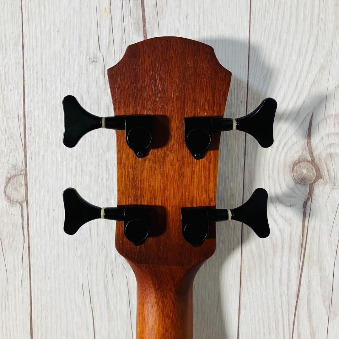 【希少】Aria FEB-FLLVS アコースティックベース アリア エレアコ