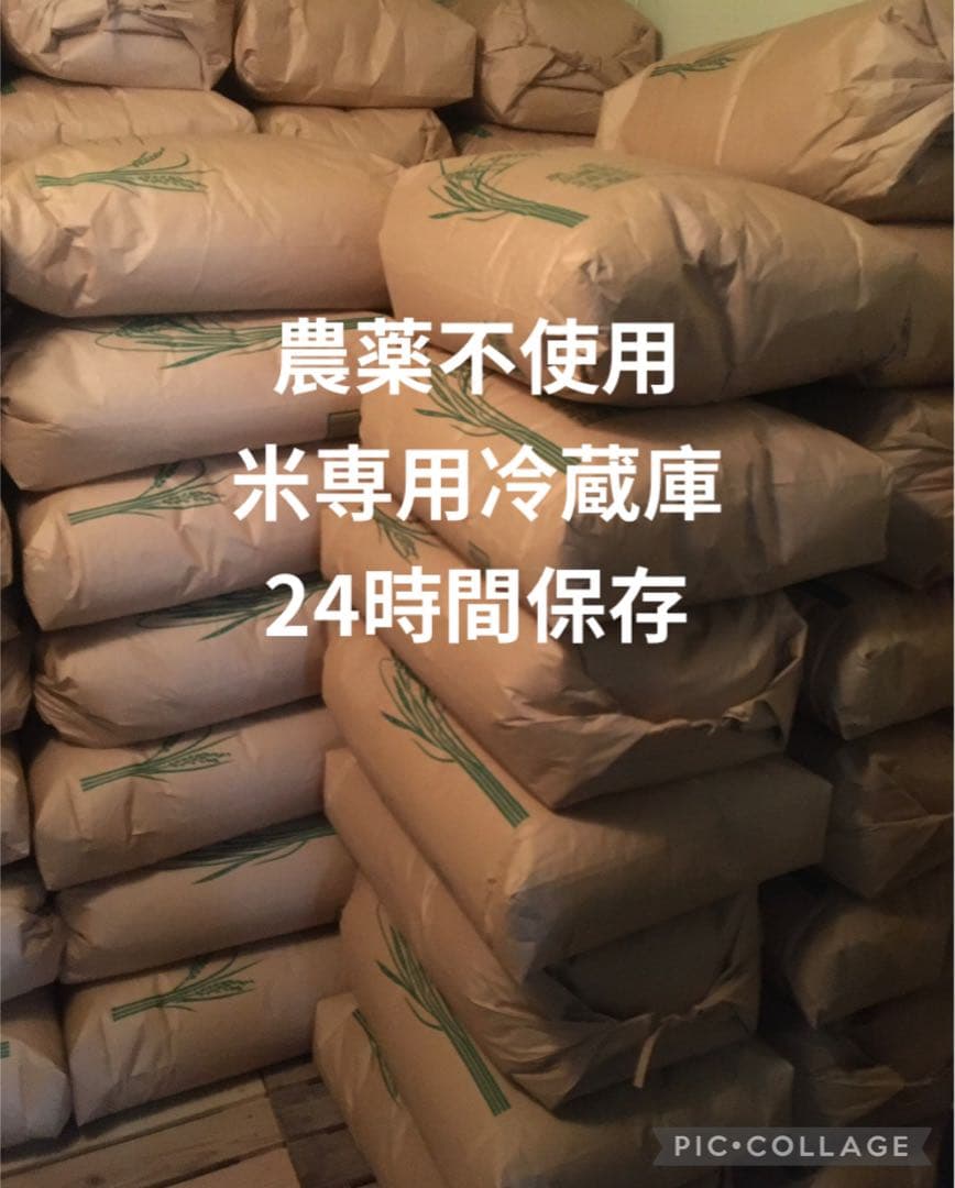 あきたこまち 10kg 農薬不使用 玄米 国産 農家直送 美容 健康 安心 安全