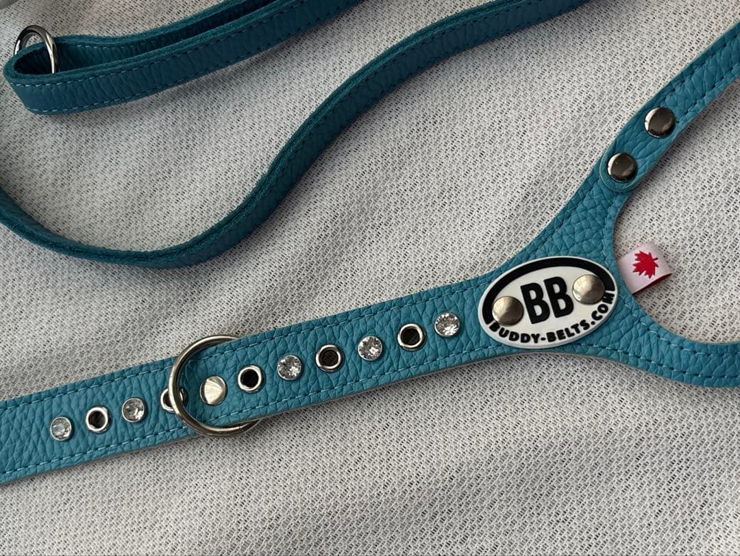 美品バディーベルト&レザーリードセット