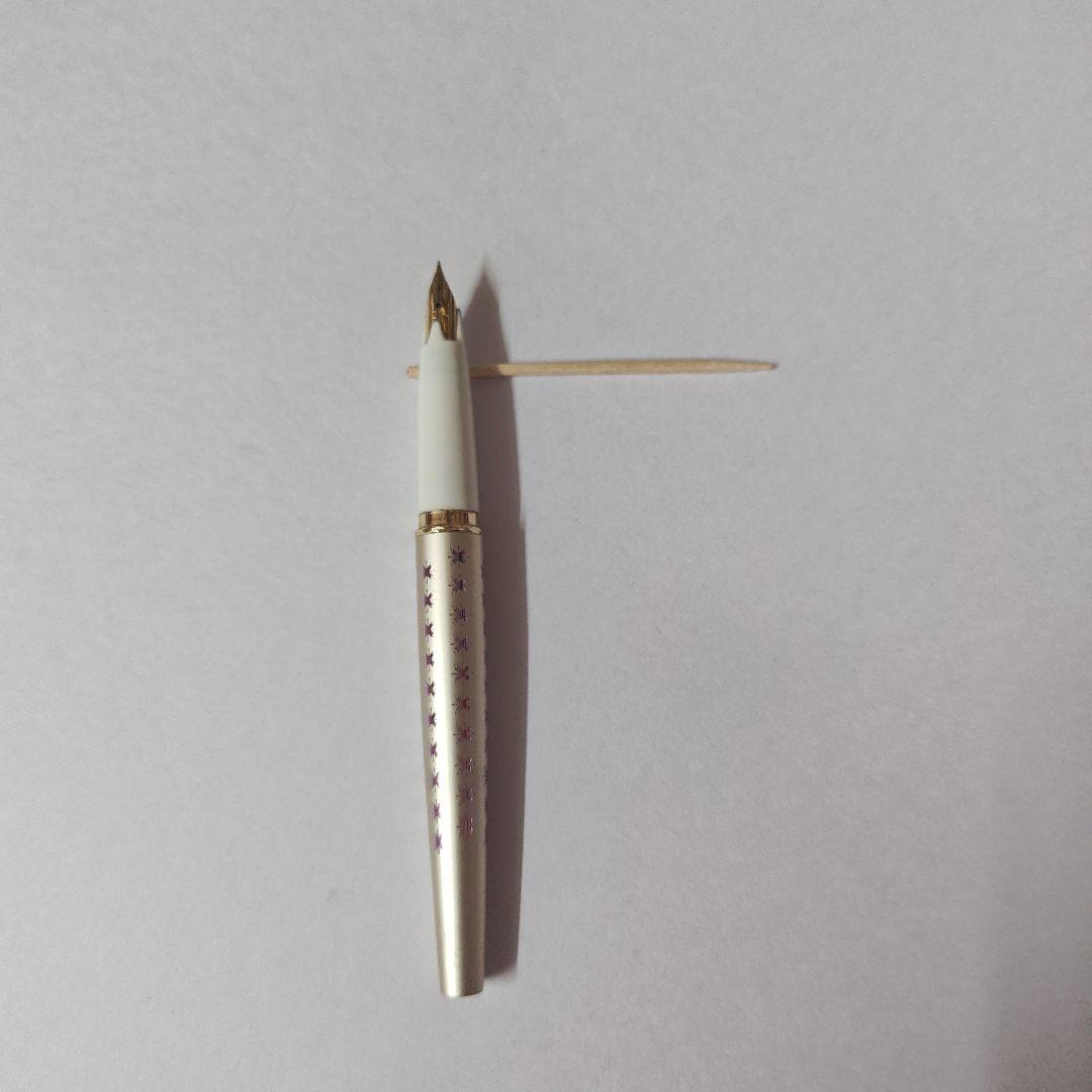 昭和のSailorスリム 21 金ペン先 万年筆 星柄