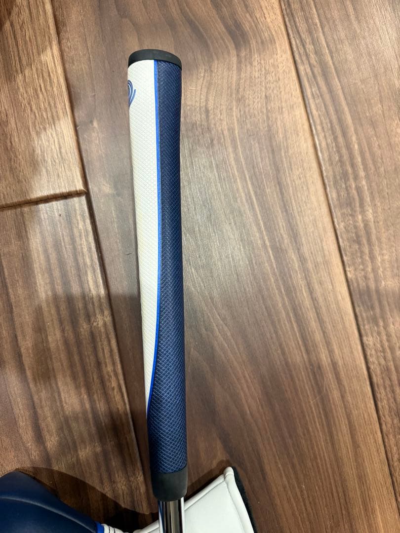 ODYSSEY オデッセイ 日本正規品 AI-ONE エーアイワン シルバー＃1