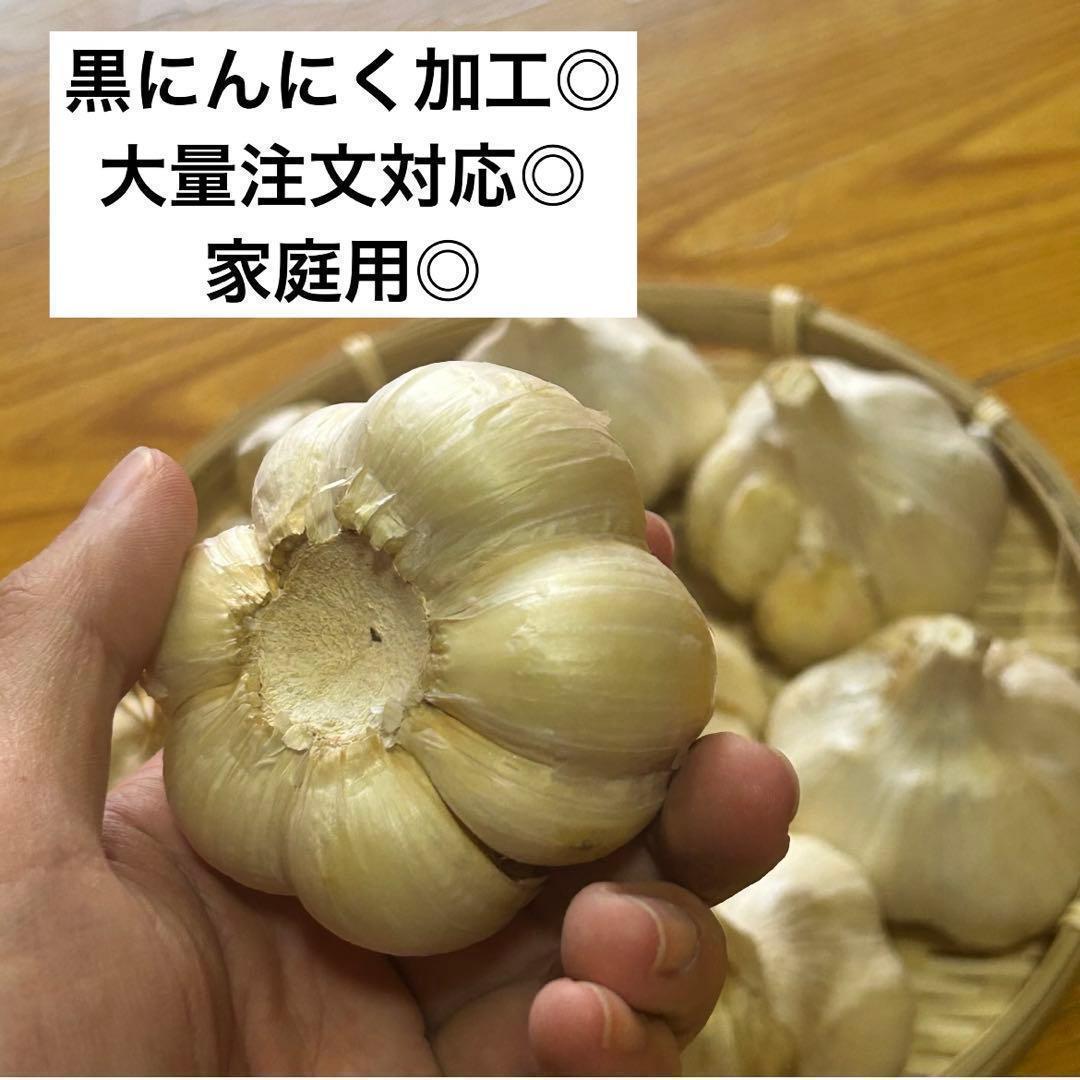 【大特価】青森県産 にんにく L 4kg 福地ホワイト 免疫力アップ 激安
