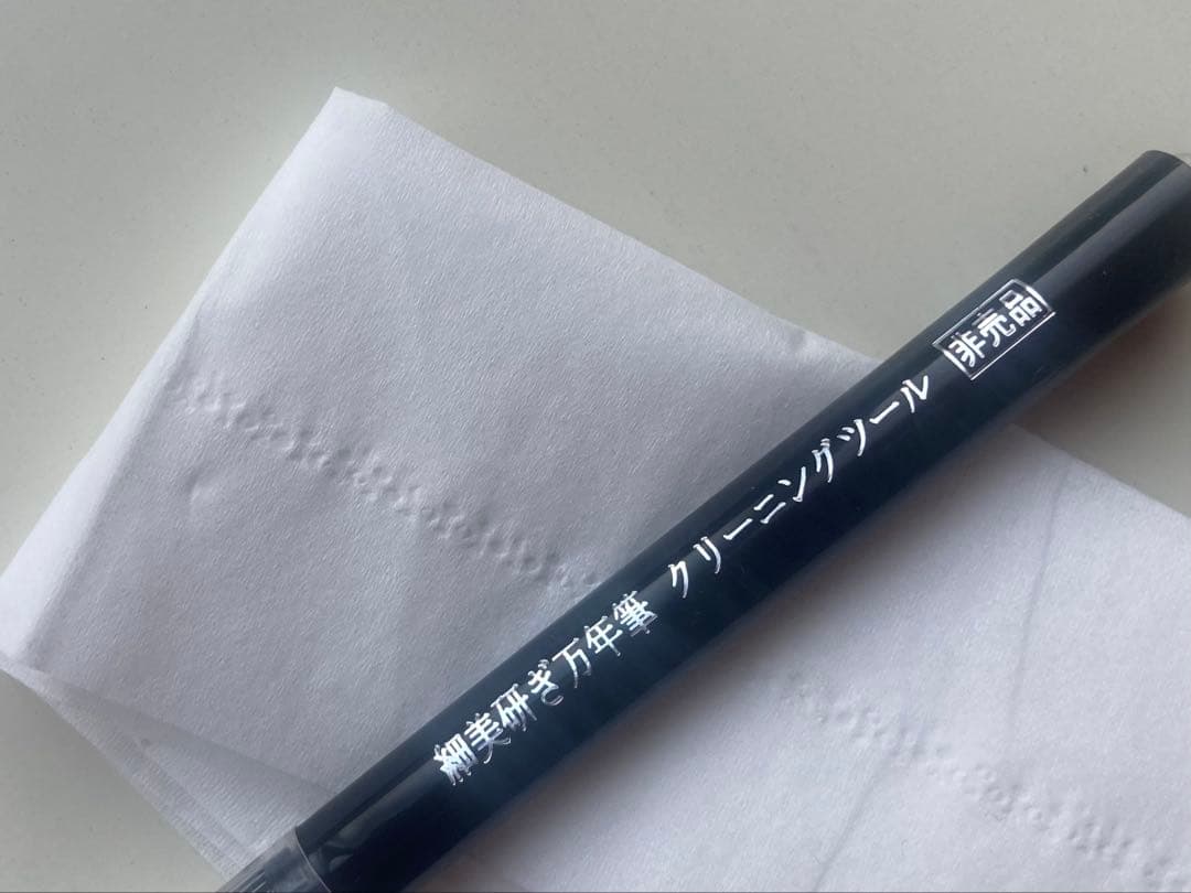 SAILOR 万年筆 プロフェッショナルギア21 細美研ぎ　21金　シルバー