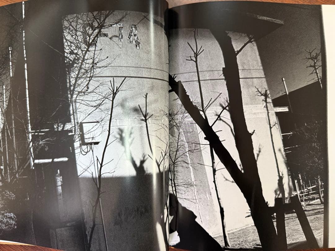 「hysteric Twelve」 深瀬昌久　写真集