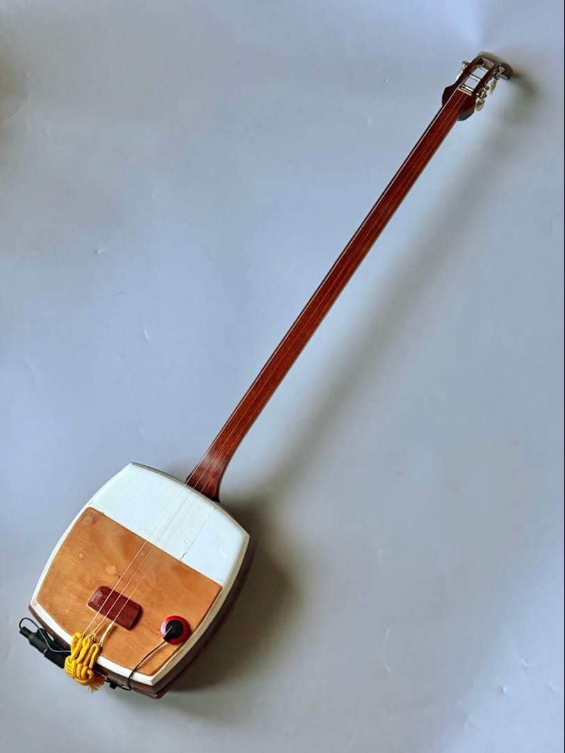 三味鉄弦　レア楽器　ピックアップ装備　ハードケース付