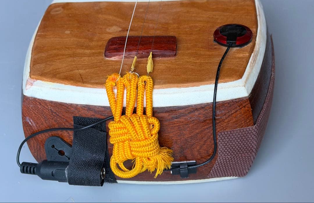 三味鉄弦　レア楽器　ピックアップ装備　ハードケース付