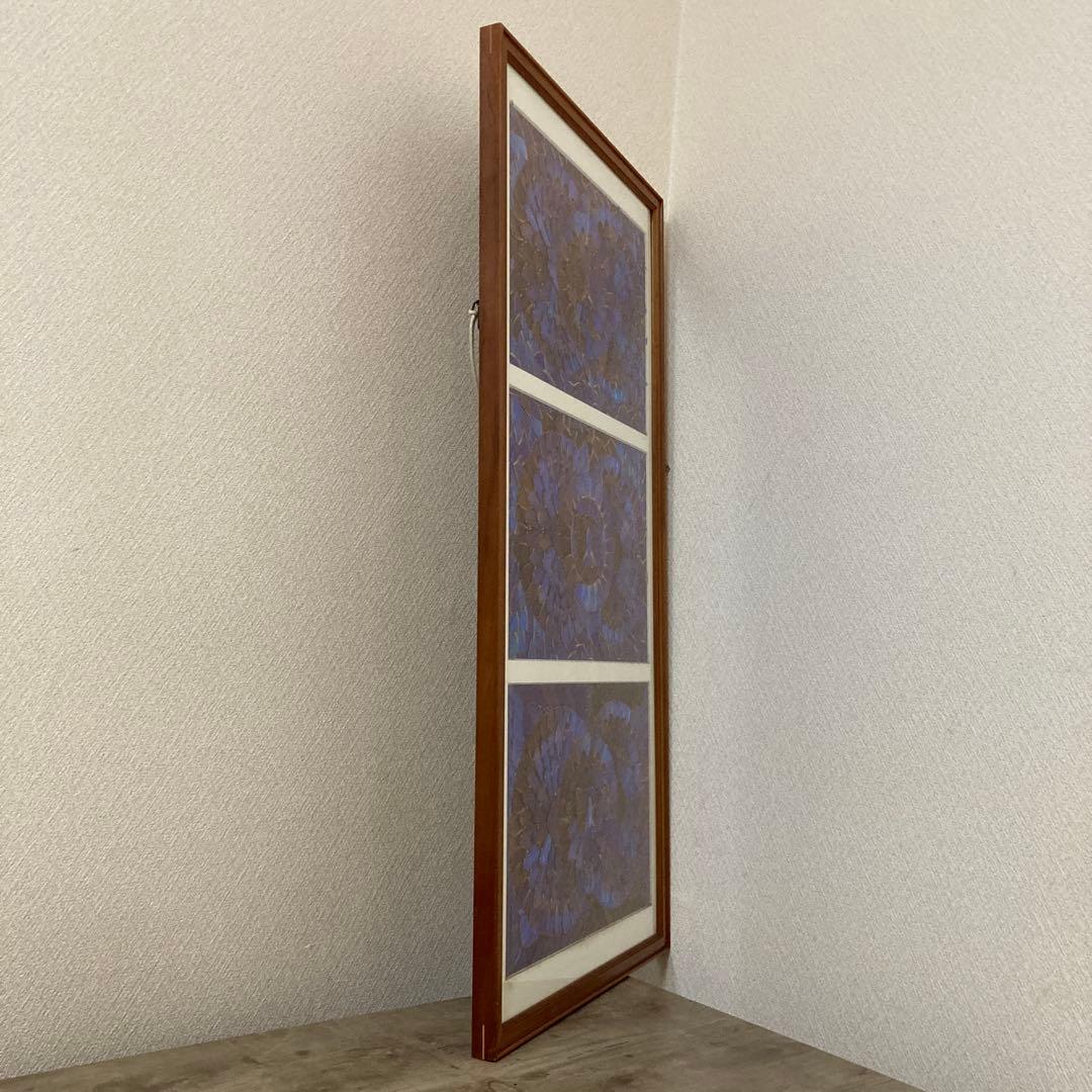 大型　モルフォ蝶　羽アート　標本　珍サイズ　高さ90センチ　ビンテージ