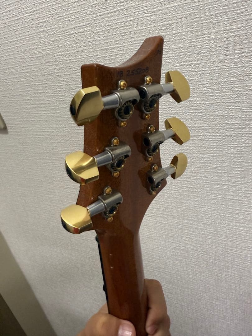 【美品】Paul Reed Smith custom24 10top