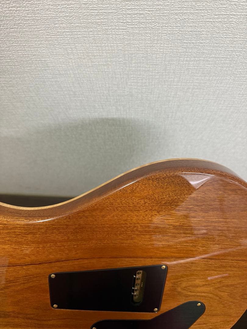 【美品】Paul Reed Smith custom24 10top