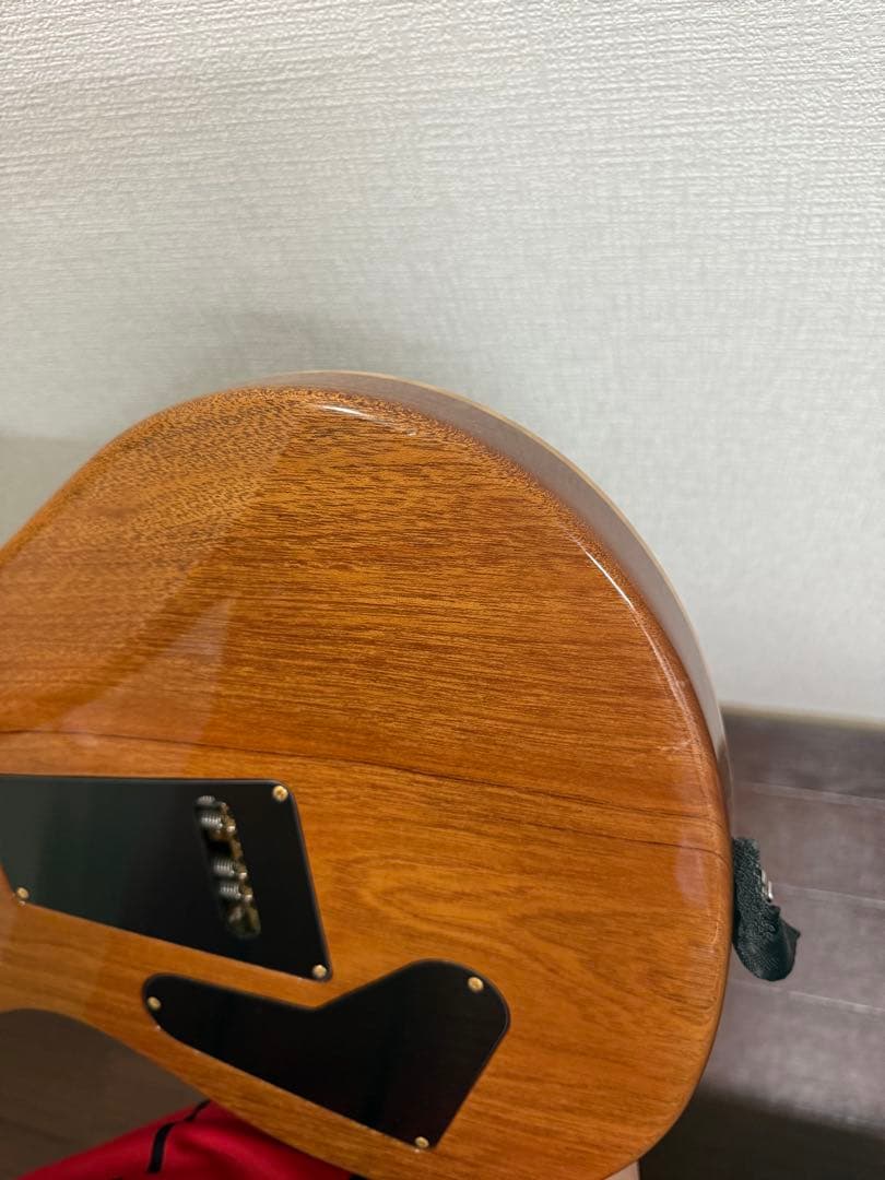 【美品】Paul Reed Smith custom24 10top