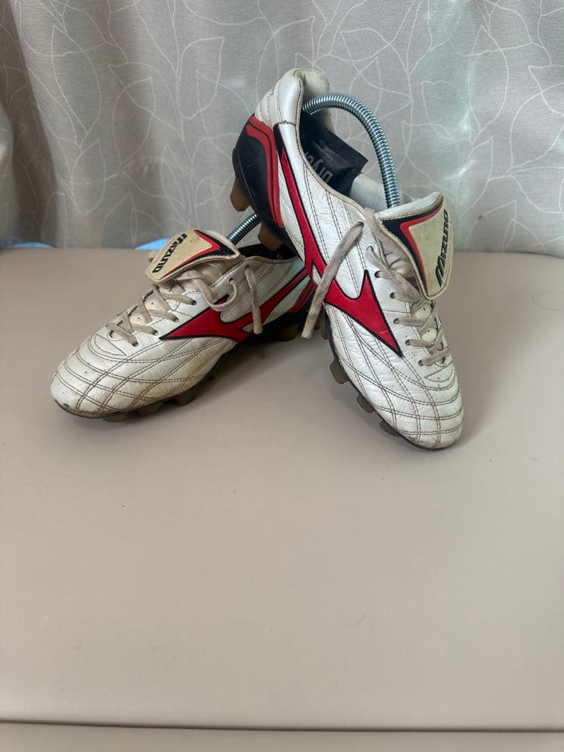 モレリアウェーブ ミズノ