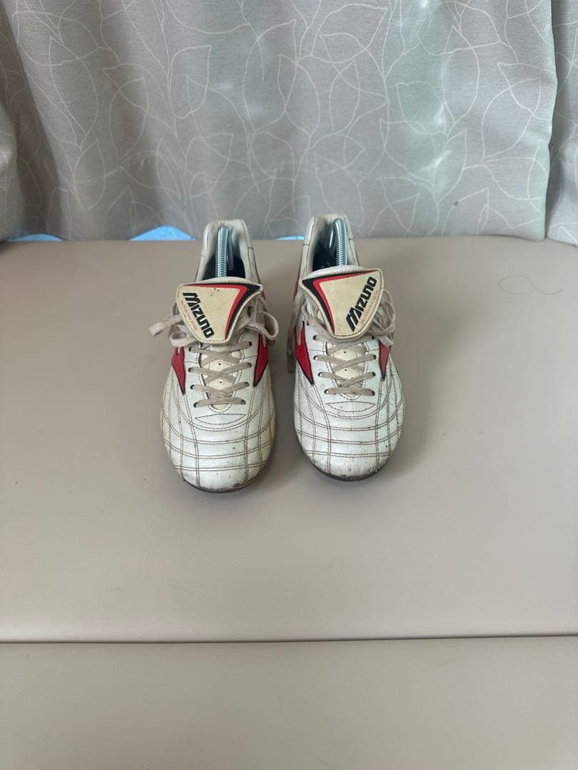 モレリアウェーブ ミズノ