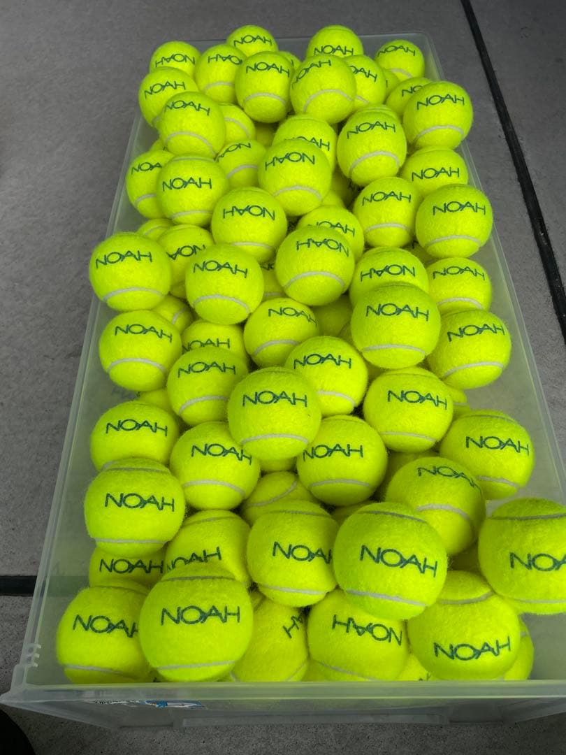NN様 女子練1週間　即日発送　中古硬式テニスボール220球