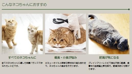 ネイチャーズテイスト　グレインフリー　チキン＆ターキー 　16kg